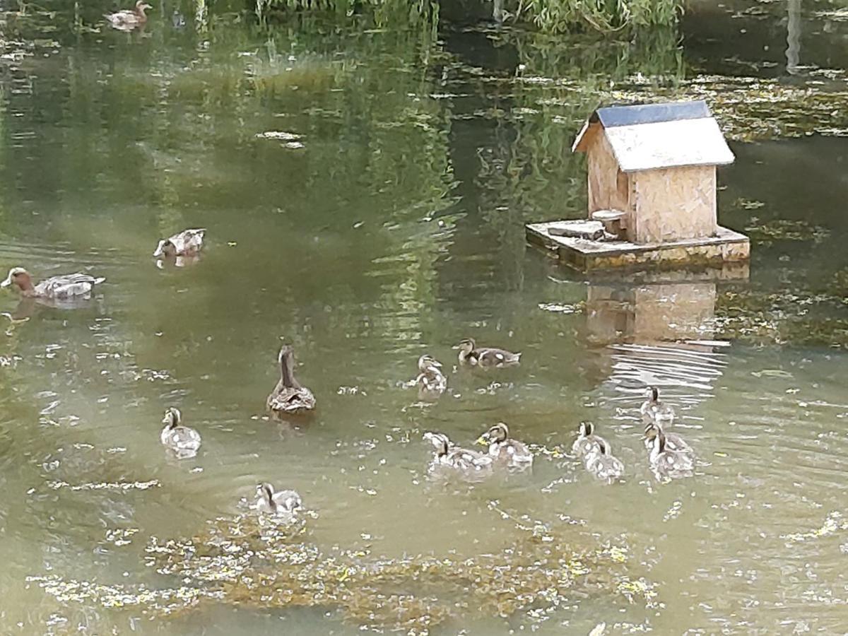 Montmartin-en-Graignes Le Bonheur Des Plumes B&B 외부 사진